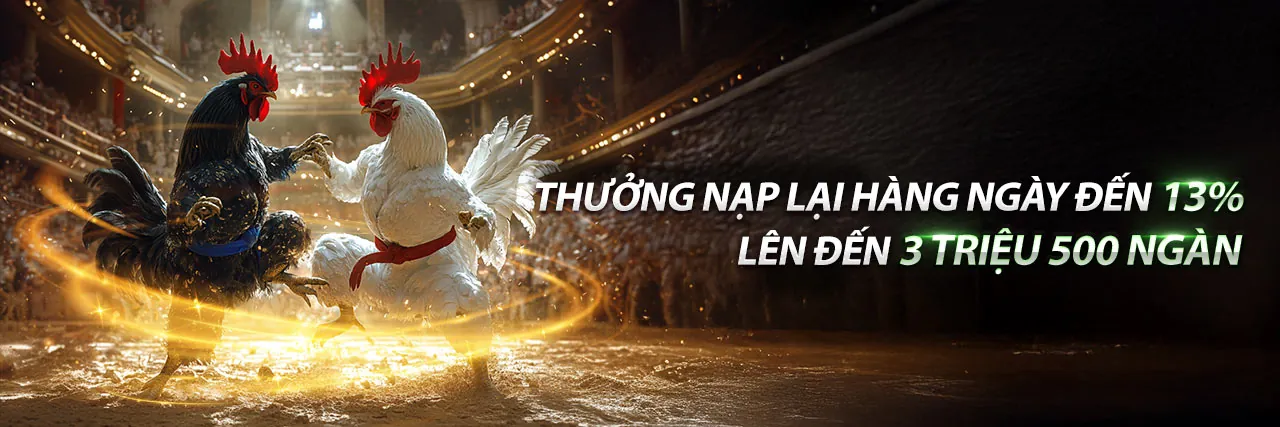Sân vận động sôi động với cá cược thể thao bsport web